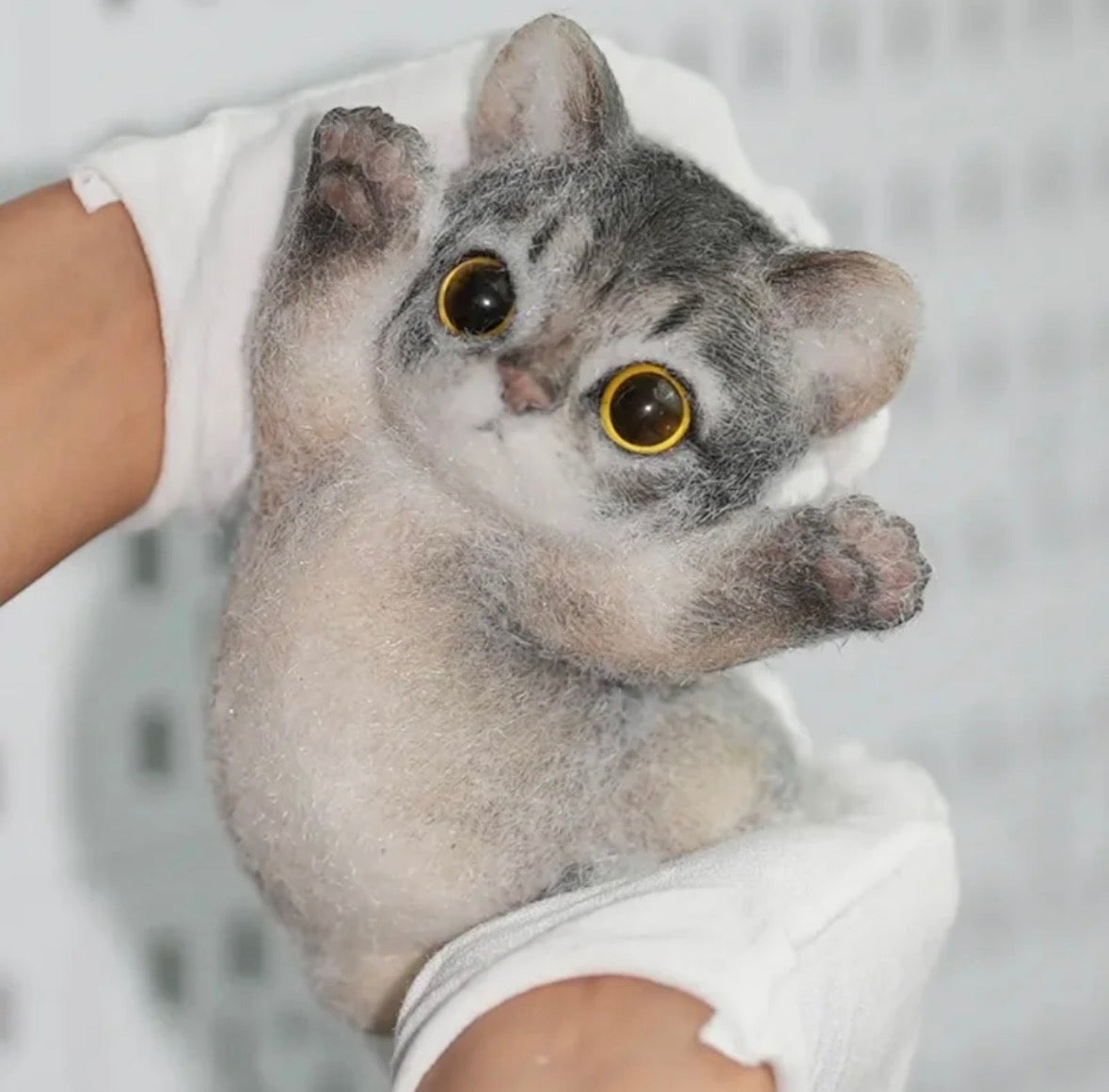 🐾 Miaou Abyssin – La Fabrique de ZOÉ