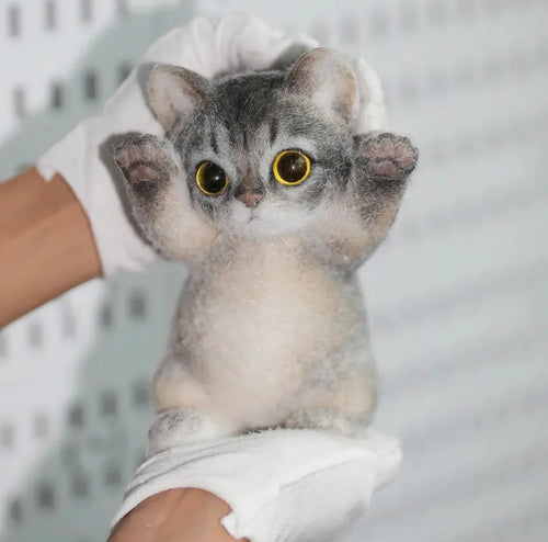 🐾 Miaou Abyssin – La Fabrique de ZOÉ