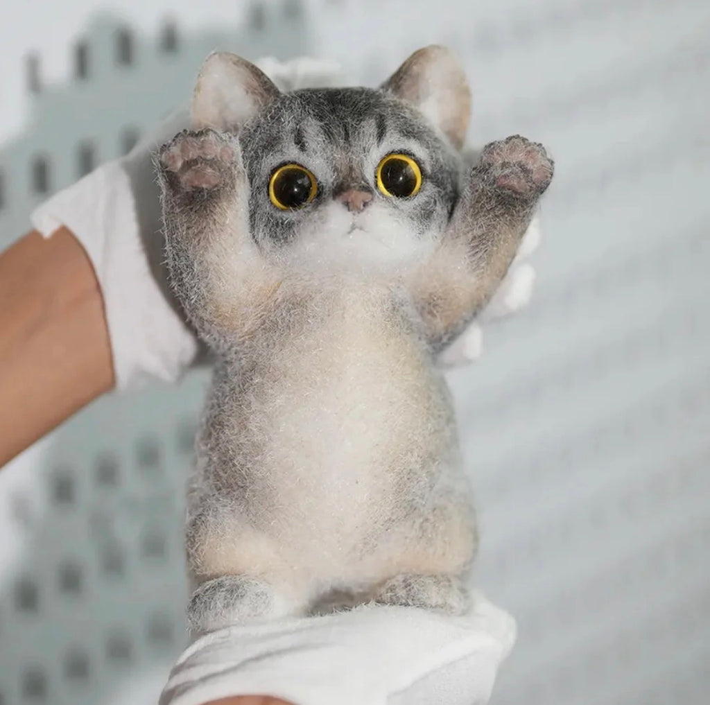 🐾 Miaou Abyssin – La Fabrique de ZOÉ