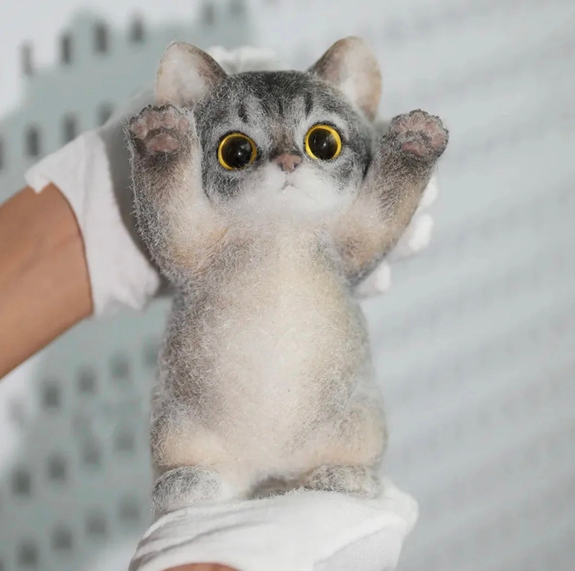 🐾 Miaou Abyssin – La Fabrique de ZOÉ