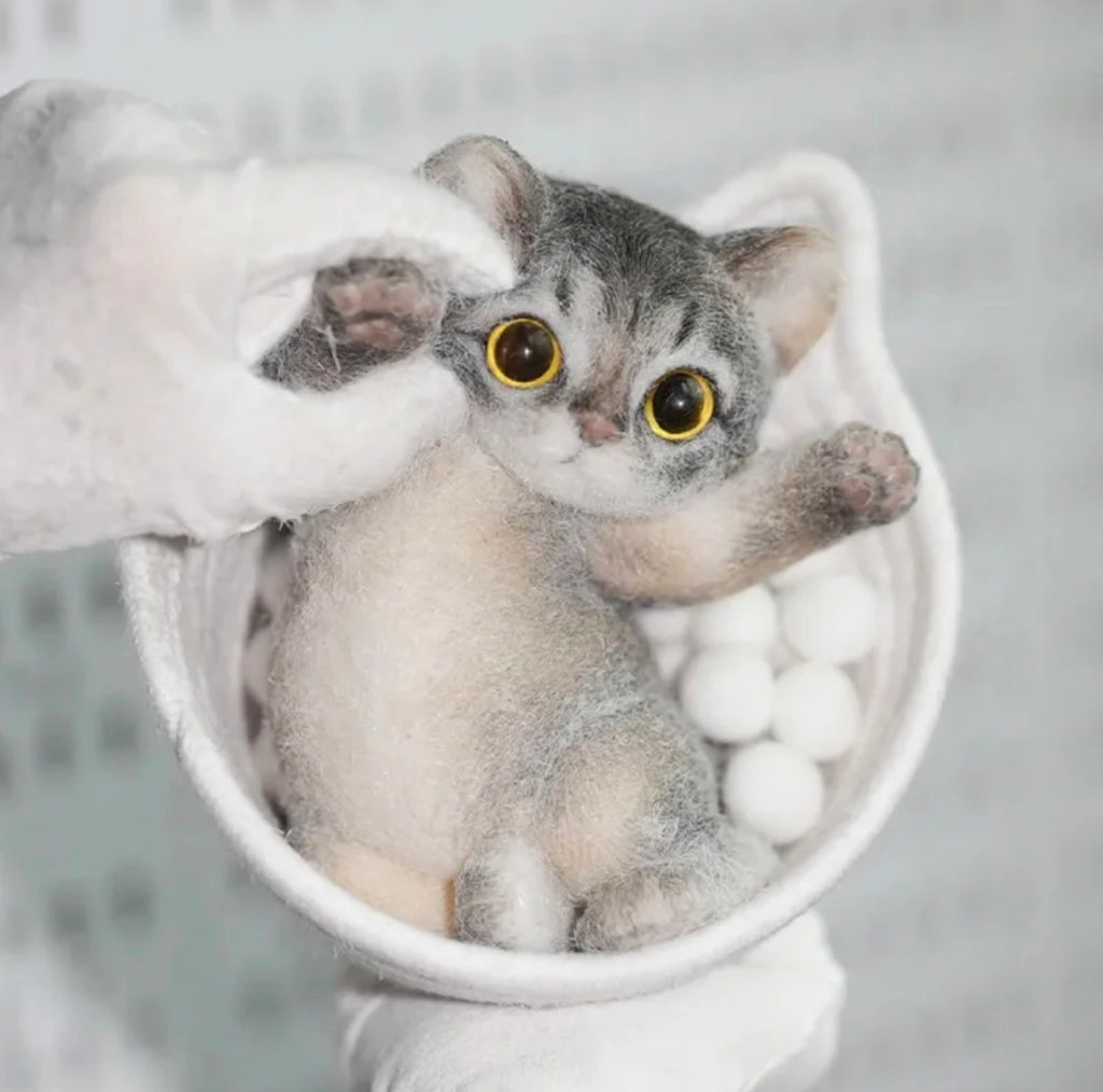 🐾 Miaou Abyssin – La Fabrique de ZOÉ