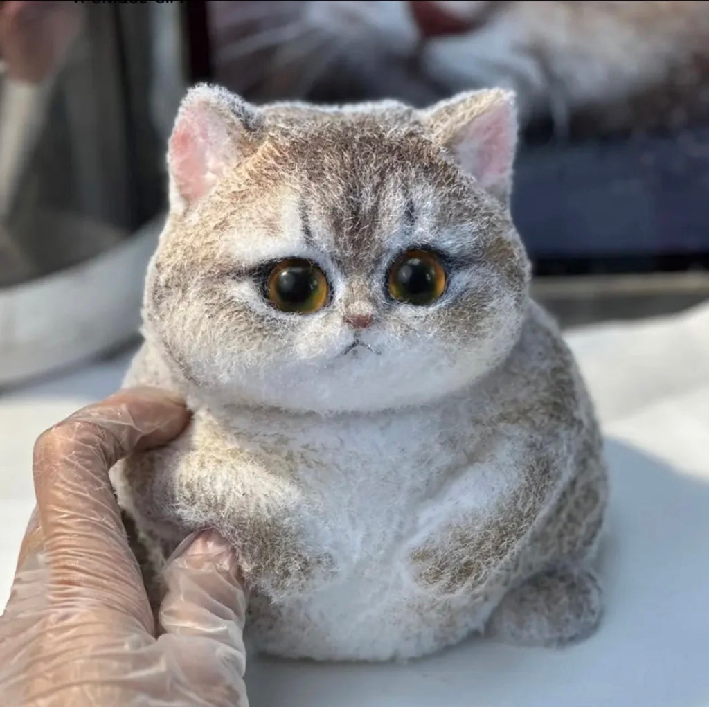 🖤🐱 Miaou aux Yeux Noir & Or - La Fabrique de ZOÉ