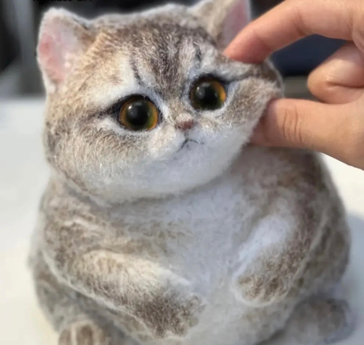 🖤🐱 Miaou aux Yeux Noir & Or - La Fabrique de ZOÉ