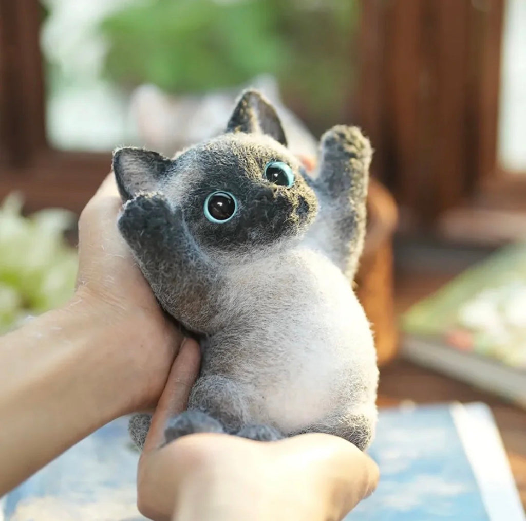 🐱✨ Miaou Siamois - La Fabrique de ZOÉ